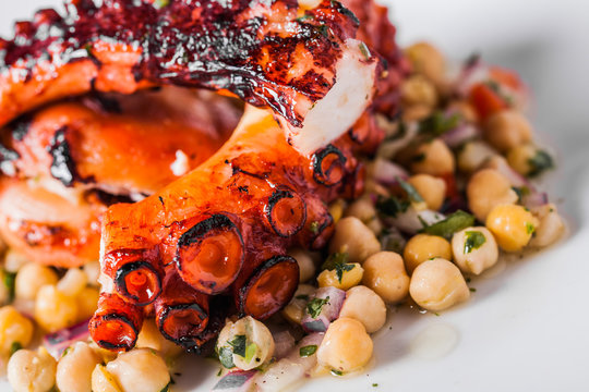 Cooked Octopus Plate with ChickPeas