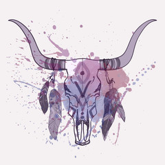Vector illustration of bull skull with feathers and watercolor