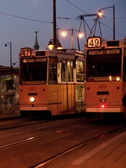 Fototapeta premium two yellow trams at nightfall