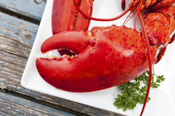 Lobster