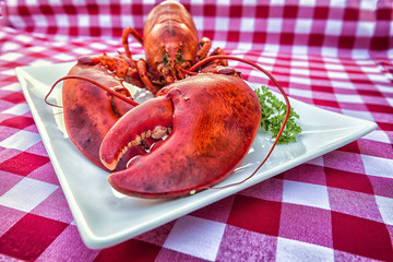 Grungy Lobster