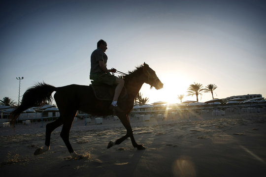 Man Riding Horse On Beach