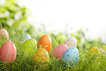 Easter eggs in grass