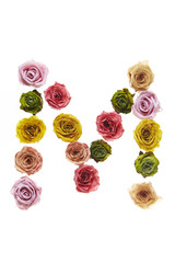 Rose font M
