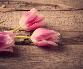 tulips on wooden background