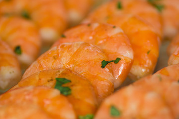 Grilled shrimps