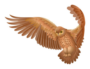 Naklejka premium Flying owl isolated