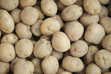 Fresh potatoes