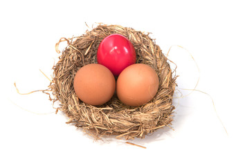 oeufs rouge dans un nid d'oiseau