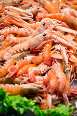 Pile of fresh shrimps on the market