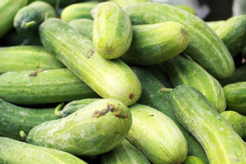 Fresh cucumber in the market