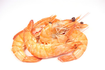 crevettes