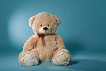 teddy - 62444029