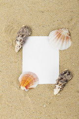 sea on the white background