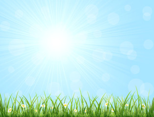 Fototapeta premium Nature background