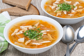 vegetable soup with chicken, horizontal