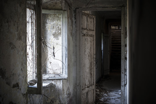 Hallway and window in abandoned house