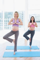 Fototapeta na wymiar Smiling pregnant women in yoga class in tree pose