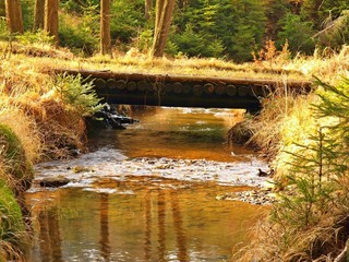 Stream in forest between old dry grass banks, wooden bridge