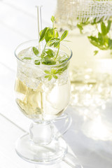 Maibowle mit frischem Waldmeister