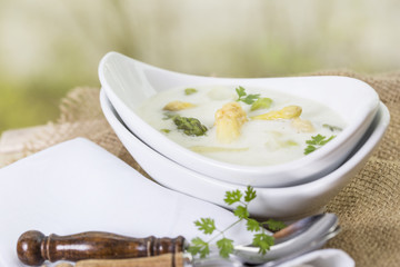 Spargelcremesuppe mit Stückchen