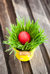 Colorful painted Easter egg on a fresh green grass