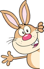 Rabbit Character Looking Around A Blank Sign And Waving