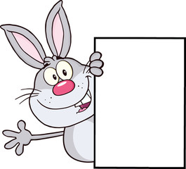 Cute Gray Rabbit Looking Around A Blank Sign And Waving