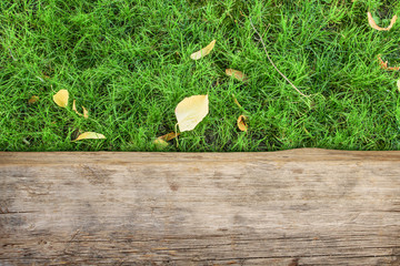 Natural background top view, wooden plank over green grass and fall leaves, copy space