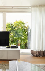 beautiful interiors of a modern house, detail living room