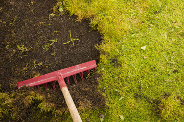 Removing moss in lawn