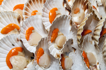 Fresh scallops on sunny Mediterranean market stall, closeup