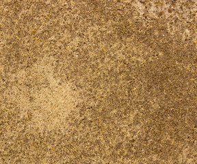 Concrete Texture