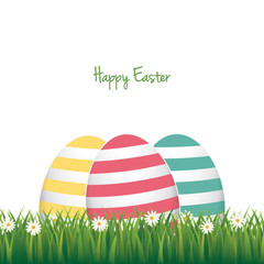 easter colorful eggs daisy meadow isolated background