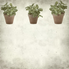 textured old paper background