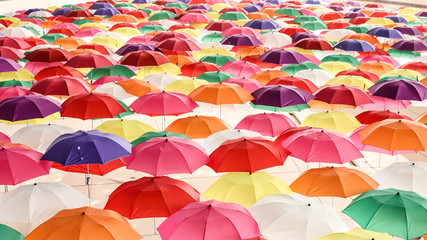 A Lots of Colorful Umbrellas