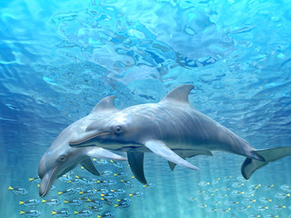Obraz na płótnie Canvas HI res Dolphins under water