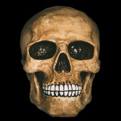 Front view of human skull over black background