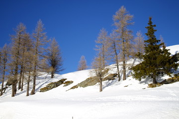 Passo del Sempione