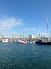 Fototapeta premium port vell