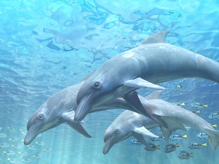 Obraz na płótnie Canvas Dolphins