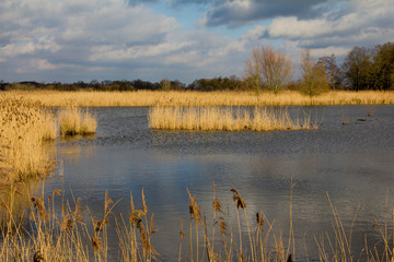 See in den Rieselfeldern mit Riedgrasstreifen