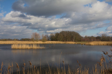 See in den Rieselfeldern mit Riedgrasstreifen