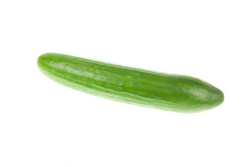 Single cucumber