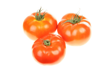 Tree ripe tomatoes
