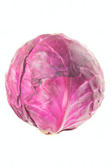 Obraz premium Small red cabbage