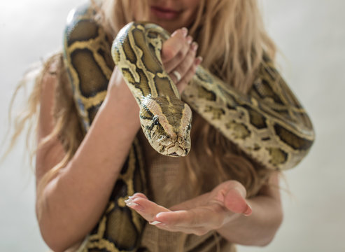 Boa on hands