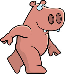 Hippo Walking