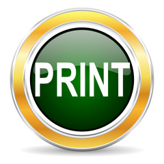 print icon