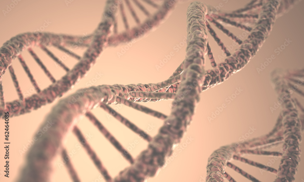 Poster DNA Structure